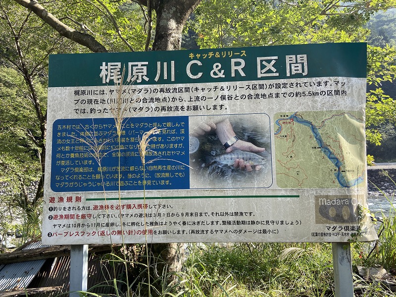 2020年10月3日 九州自然歩道 55日目 熊本県球磨郡五木村頭地～水上村白蔵越 標高1000mの心地よい林道を歩く - とりあえず、歩くか ...