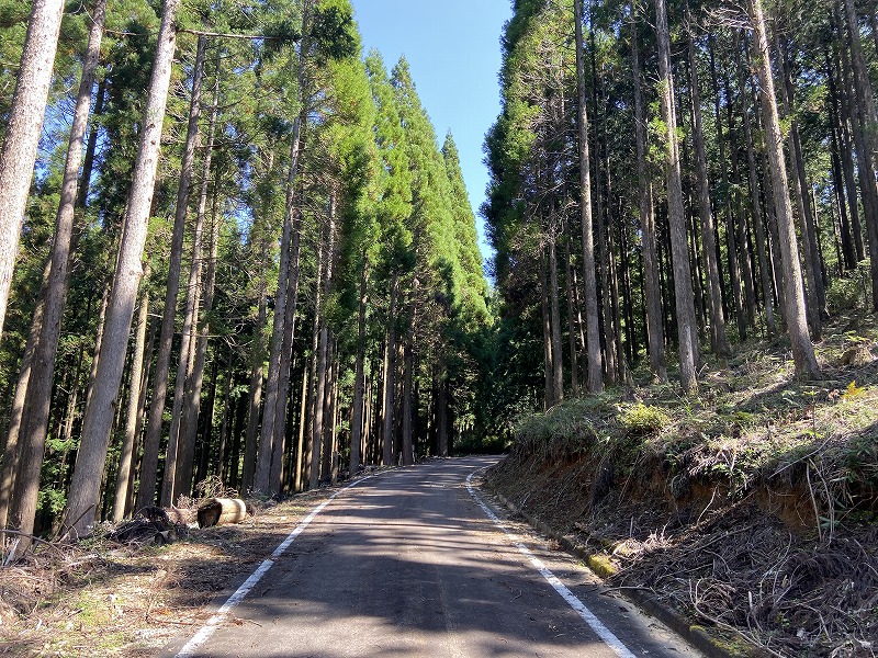 九州自然歩道 55日目 標高1000mの心地よい林道を歩く 熊本県球磨郡五木村頭地~水上村白蔵越 2020年10月3日 - 九州自然歩道を週末 ...