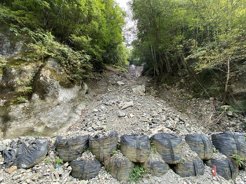 九州自然歩道 55日目 標高1000mの心地よい林道を歩く 熊本県球磨郡五木村頭地～水上村白蔵越 2020年10月3日 - 九州自然歩道を週末 ...
