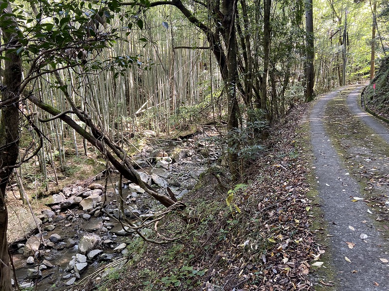 2020年10月24日 九州自然歩道 59日目 熊本県人吉市人吉橋~鹿児島県伊佐市大口笹野久七峠 - とりあえず、歩くか。晴れた日は星空の下で ...