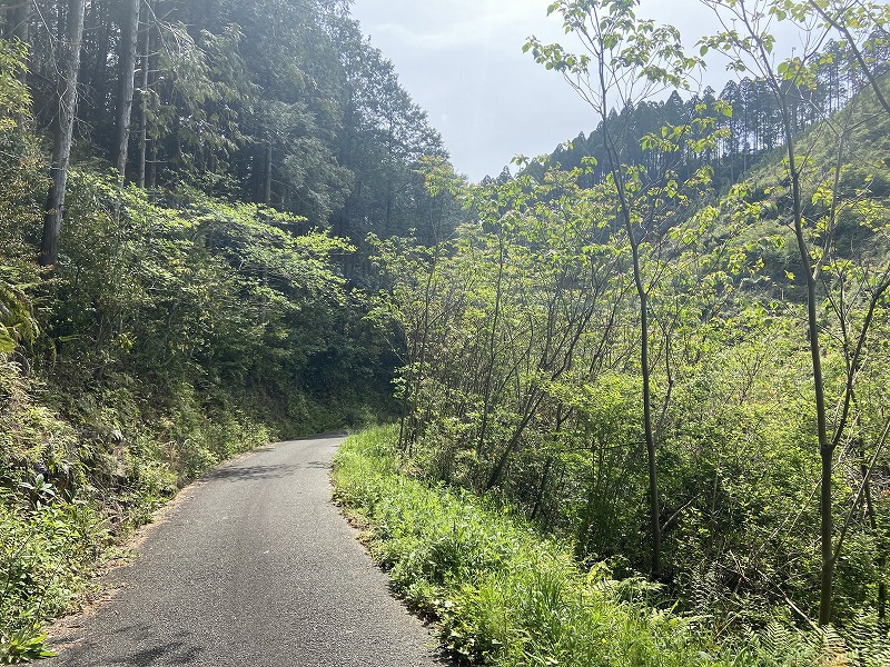 九州自然歩道 97日目 尾鈴山瀑布群を見るのは一生に一度の機会だったかもしれない 宮崎県児湯郡川南町白鬚～尾鈴山瀑布群～児湯郡都農町都農駅 ...