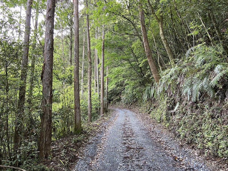 2021年4月18日 九州自然歩道 99日目 宮崎県日向市東郷町坪谷 牧水公園