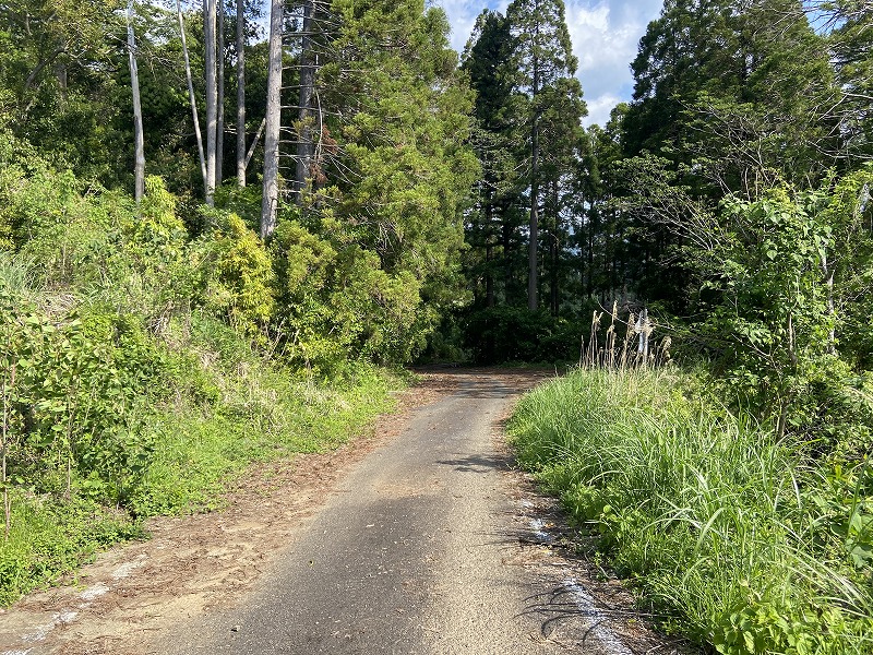 九州自然歩道 100日目 九州山地のだいたい快適な山道を宇納間地蔵尊まで歩く 宮崎県東臼杵郡美郷町西郷田代~東臼杵郡美郷町北郷宇納間 2021 ...
