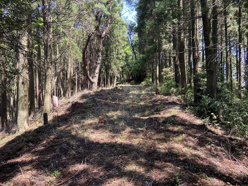 2021年5月3日 九州自然歩道 101日目 宮崎県東臼杵郡美郷町北郷宇納間~延岡市北方町細見 速日の峰を越えて海に向かって走る ...