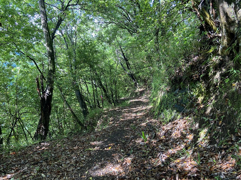 2021年5月16日 九州自然歩道 105日目 宮崎県西臼杵郡高千穂町三井田 高千穂ユースホステル～高千穂町竜泉寺 残念無念、嗚呼、高千穂鉄道 ...