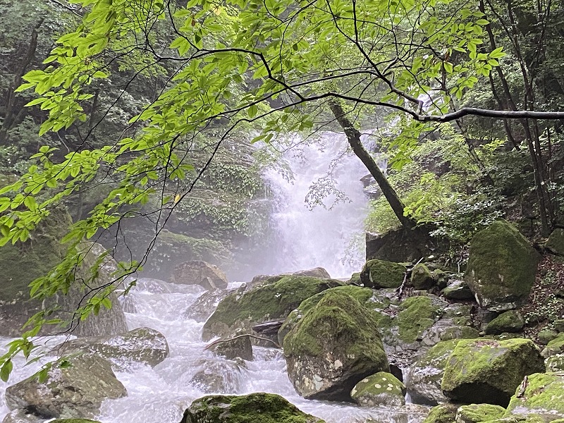 2021年7月17日 九州自然歩道 107日目 宮崎県西臼杵郡高千穂町五ヶ所～大分県竹田市神原 終日水行此如何 - とりあえず、歩くか。晴れた ...