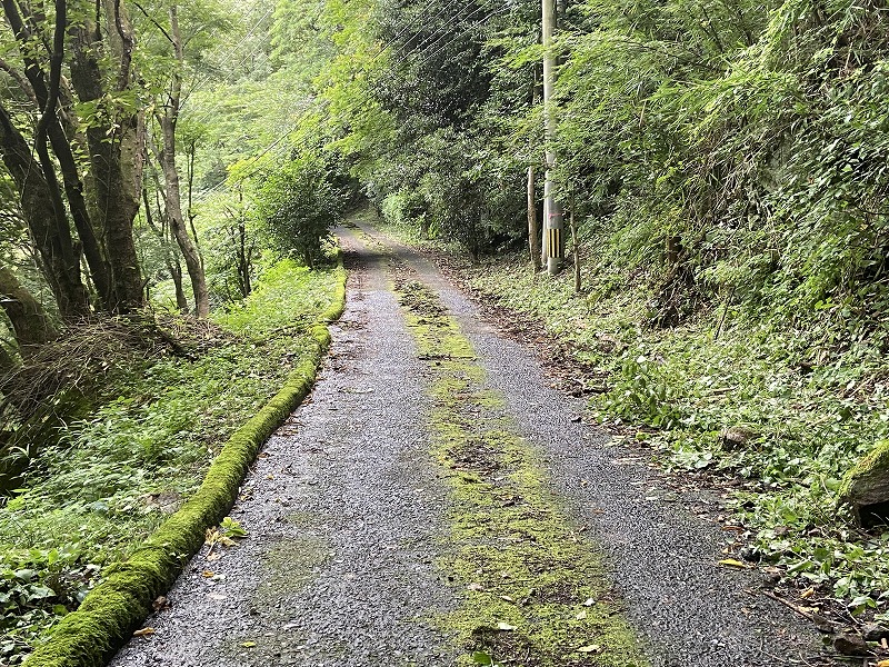 九州自然歩道 110日目 標高600mの集落を巡り歩いたあとは炭酸泉でゆっくりと手足を伸ばす 大分県豊後大野市朝地駅～竹田市直入町長湯温泉 ...