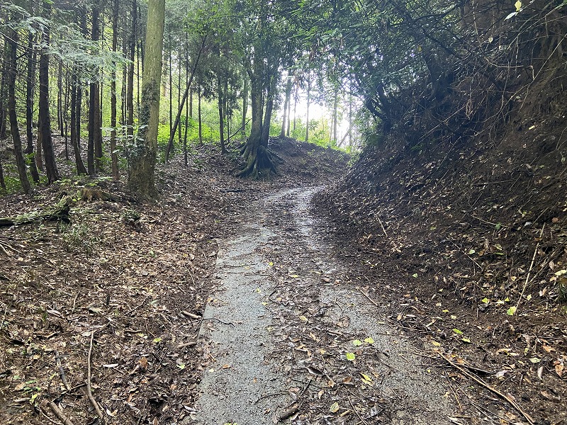 九州自然歩道 111日目 標高454mの秘湯から標高1303mの秘湯を目指して 大分県竹田市直入町長湯温泉~竹田市久住町法華院温泉山荘 ...