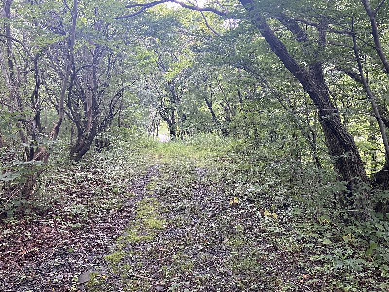 九州自然歩道 111日目 標高454mの秘湯から標高1303mの秘湯を目指して 大分県竹田市直入町長湯温泉～竹田市久住町法華院温泉山荘 ...