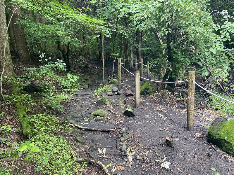九州自然歩道 111日目 標高454mの秘湯から標高1303mの秘湯を目指して 大分県竹田市直入町長湯温泉～竹田市久住町法華院温泉山荘 ...
