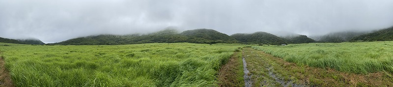 九州自然歩道 113日目 ずぶ濡れ地獄の最後に天使を見た 大分県竹田市久住町法華院温泉山荘～玖珠郡九重町牧ノ戸峠 2021年8月9日 - 九州 ...