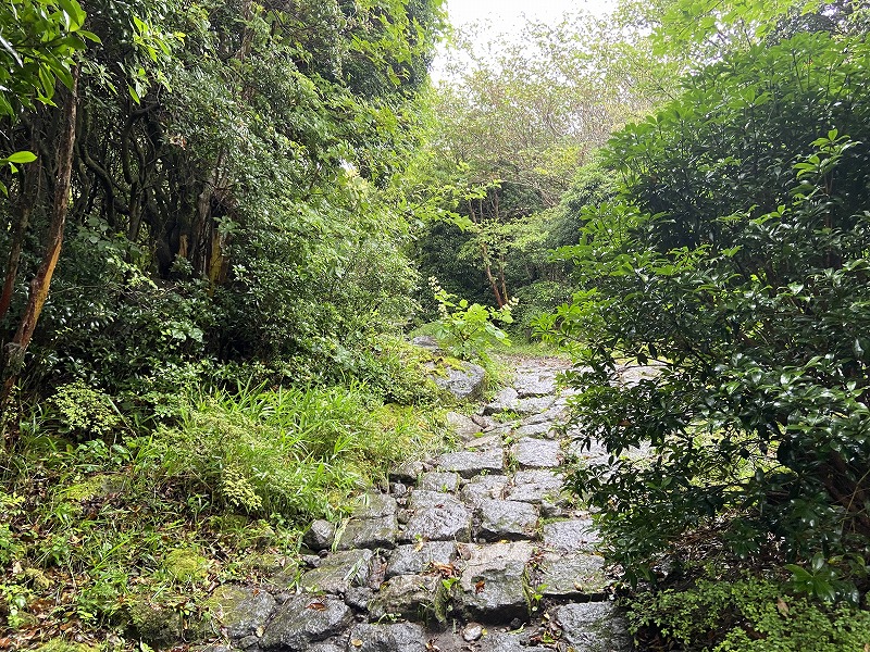 九州自然歩道 113日目 ずぶ濡れ地獄の最後に天使を見た 大分県竹田市久住町法華院温泉山荘~玖珠郡九重町牧ノ戸峠 2021年8月9日 - 九州 ...