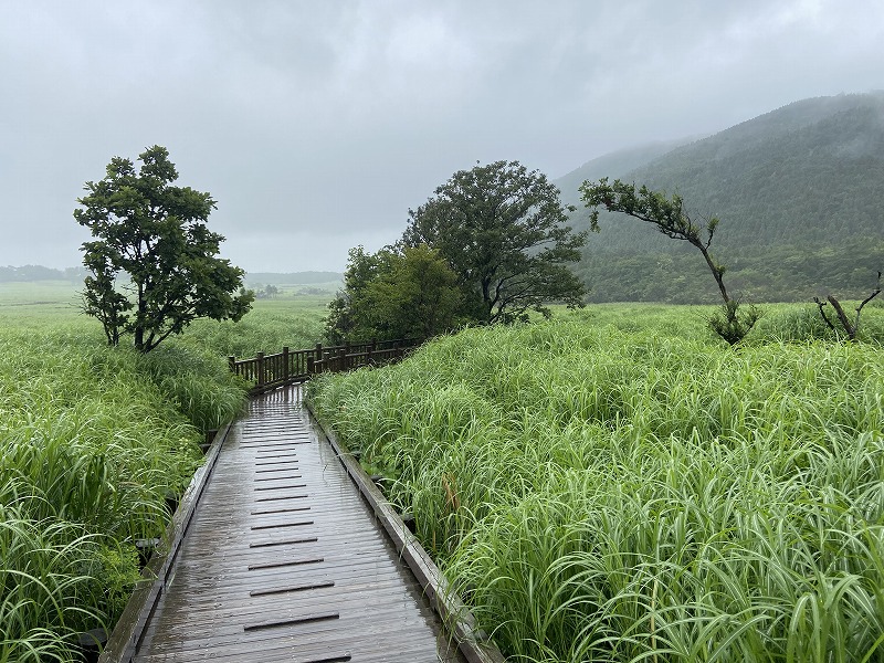 2021年8月9日 九州自然歩道 113日目 大分県竹田市久住町法華院温泉山荘~玖珠郡九重町牧ノ戸峠 ずぶ濡れ地獄の最後に天使を見た ...