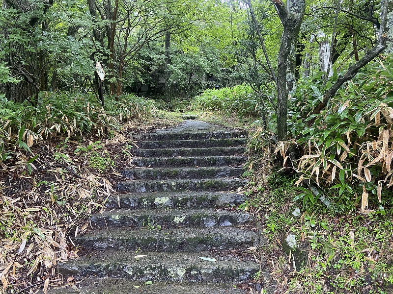 九州自然歩道 113日目 ずぶ濡れ地獄の最後に天使を見た 大分県竹田市久住町法華院温泉山荘~玖珠郡九重町牧ノ戸峠 2021年8月9日 - 九州 ...