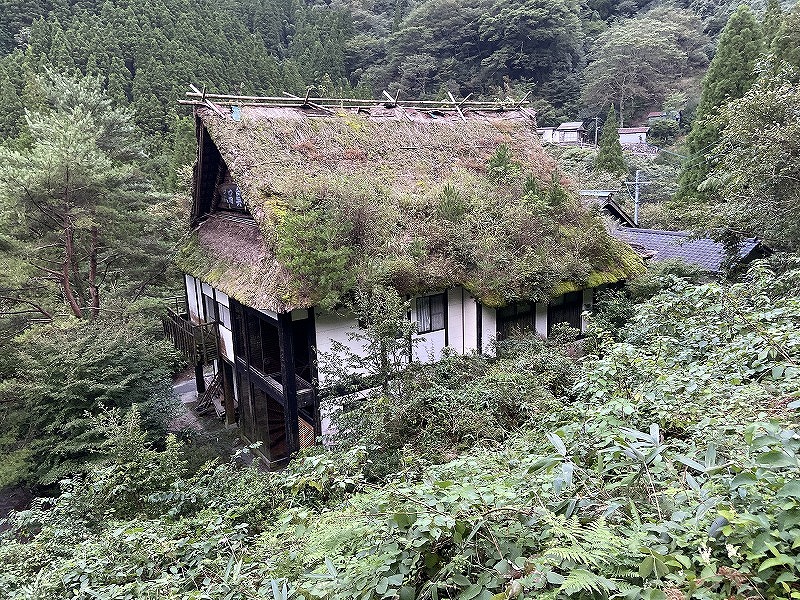 f:id:nayutakun:20210815182125j:plain