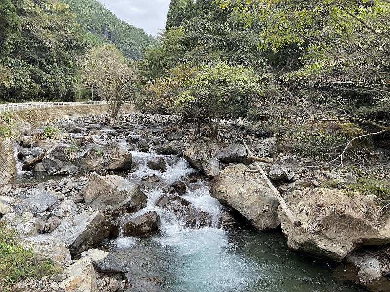 f:id:nayutakun:20210815182843j:plain