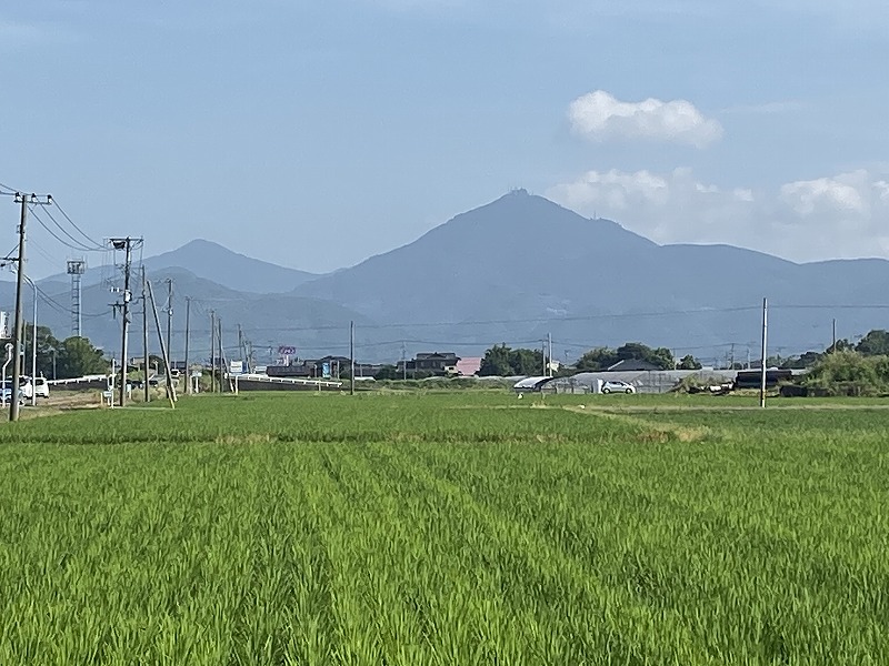 f:id:nayutakun:20210815185952j:plain