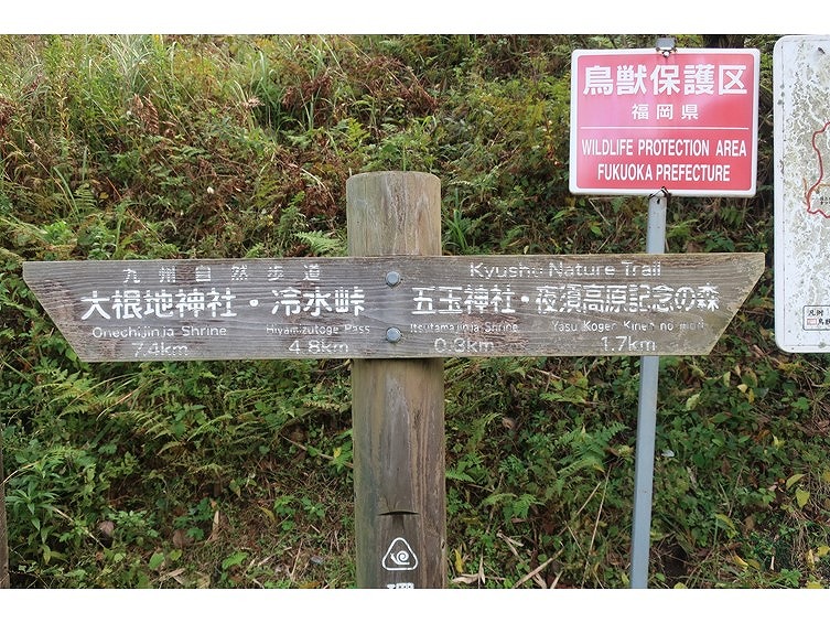 f:id:nayutakun:20210901211610j:plain