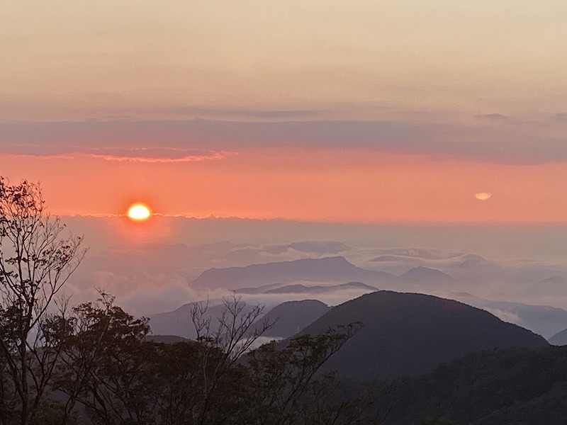 f:id:nayutakun:20210922231341j:plain