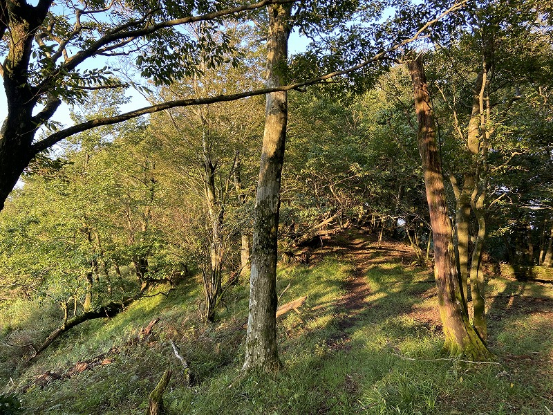 f:id:nayutakun:20210922231505j:plain