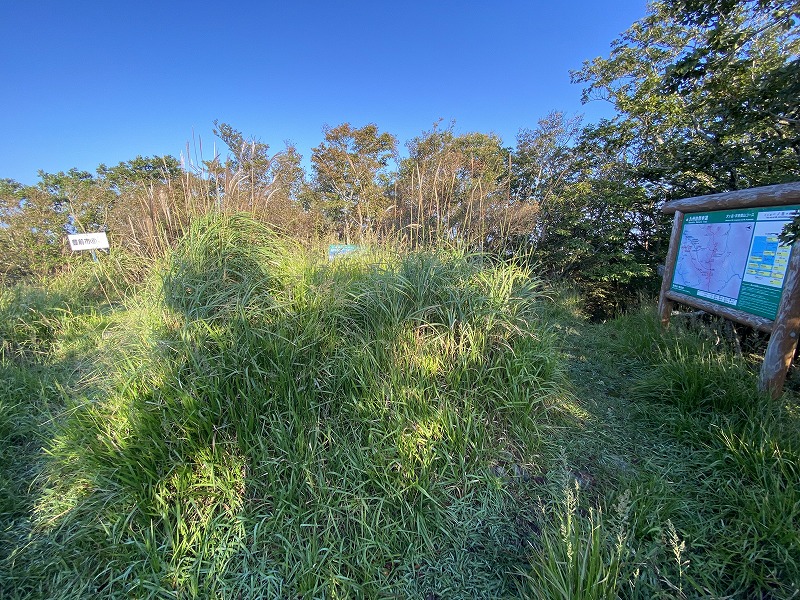 f:id:nayutakun:20210922231628j:plain