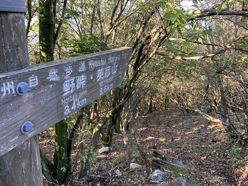 f:id:nayutakun:20210922231656j:plain