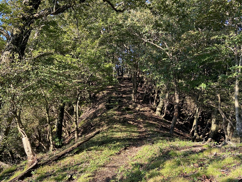 f:id:nayutakun:20210922231749j:plain