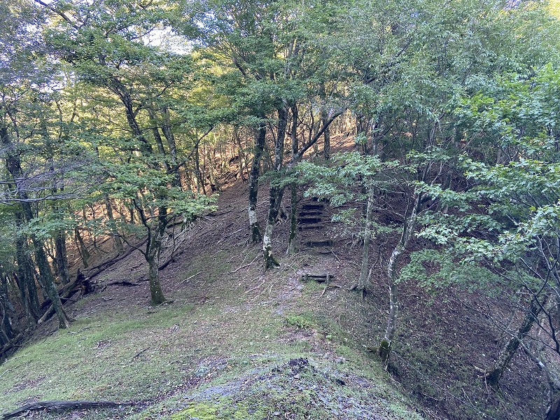 f:id:nayutakun:20210922231832j:plain