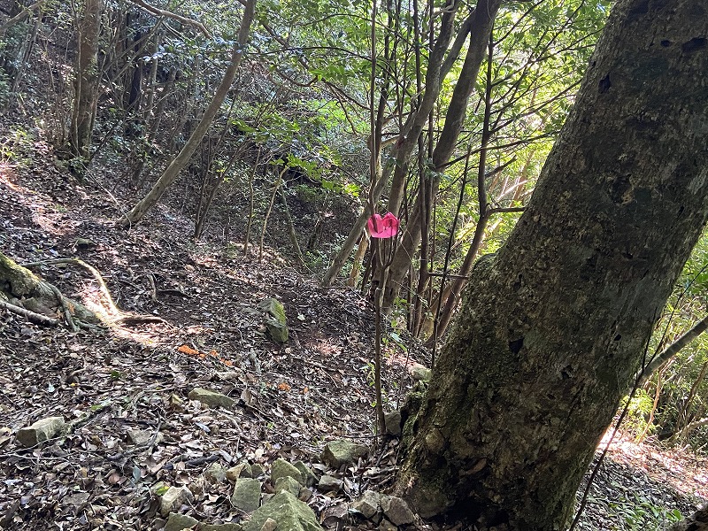 f:id:nayutakun:20210922232038j:plain