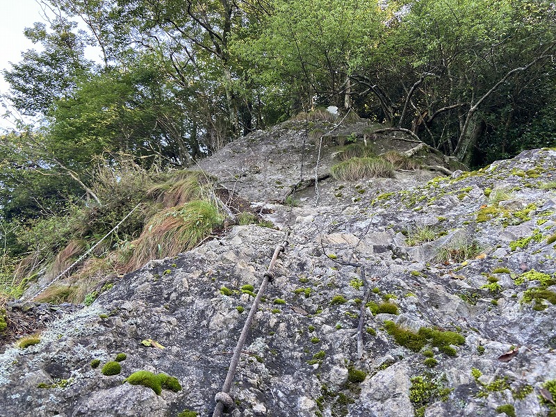 f:id:nayutakun:20210922232113j:plain