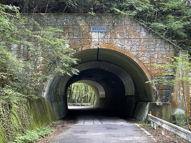 f:id:nayutakun:20210922232532j:plain