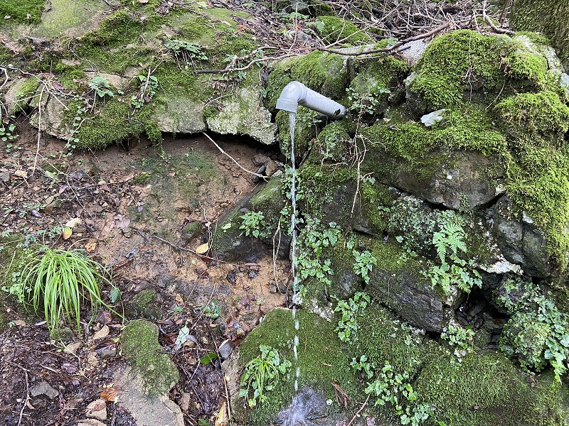 f:id:nayutakun:20210922232548j:plain