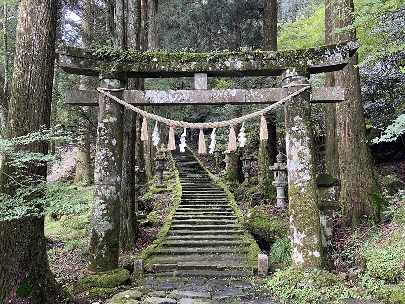 f:id:nayutakun:20210922232620j:plain