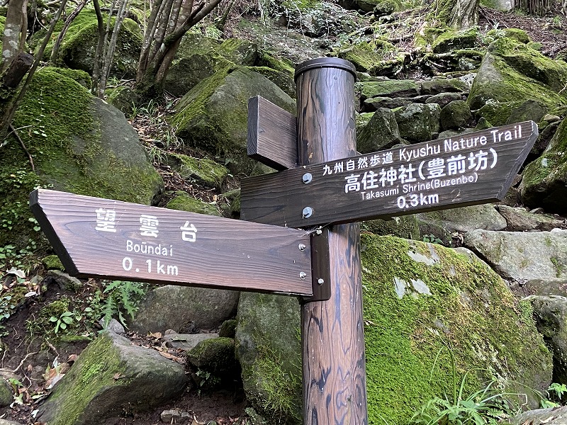 f:id:nayutakun:20210922232744j:plain