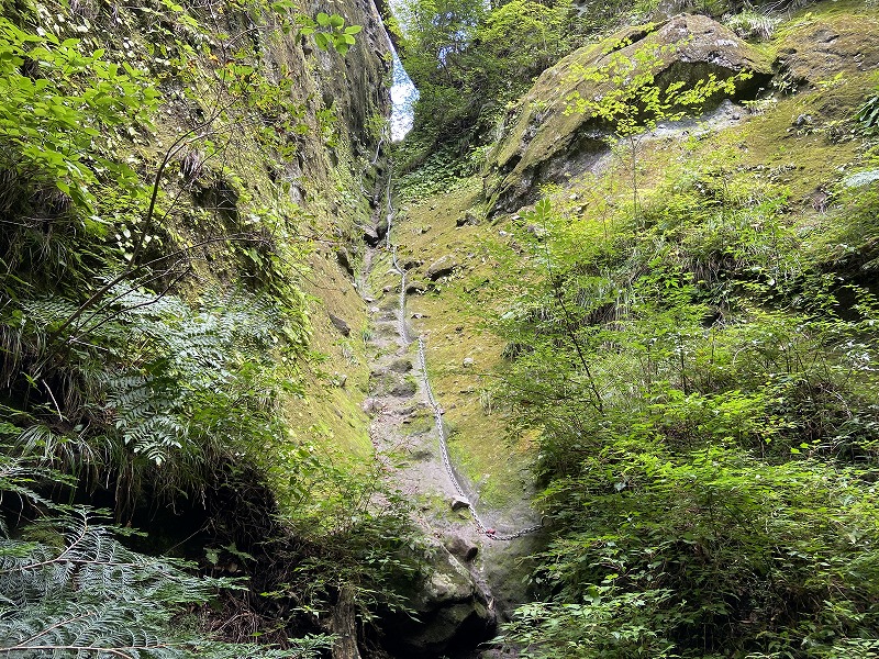 f:id:nayutakun:20210922232803j:plain