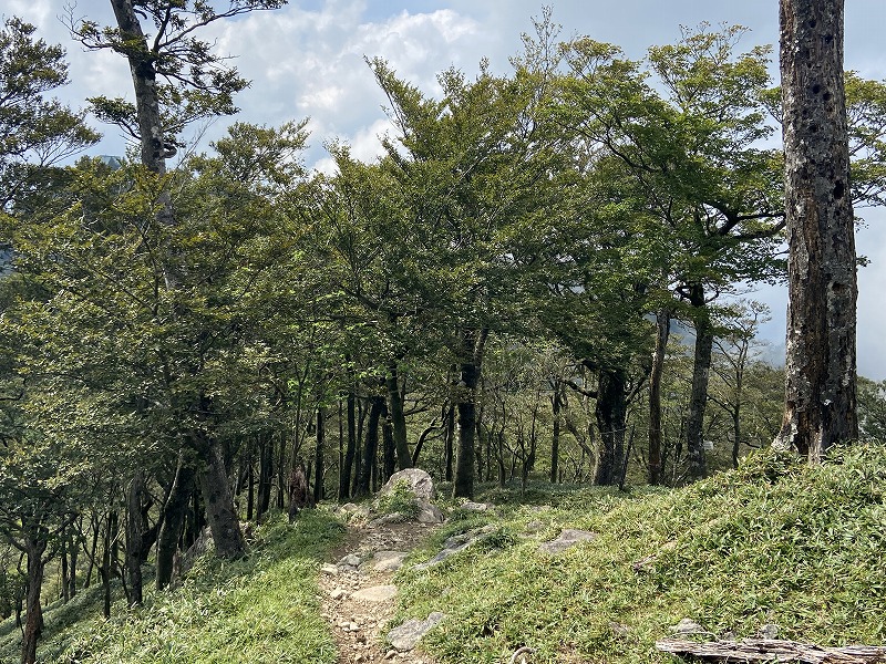 f:id:nayutakun:20210922233132j:plain