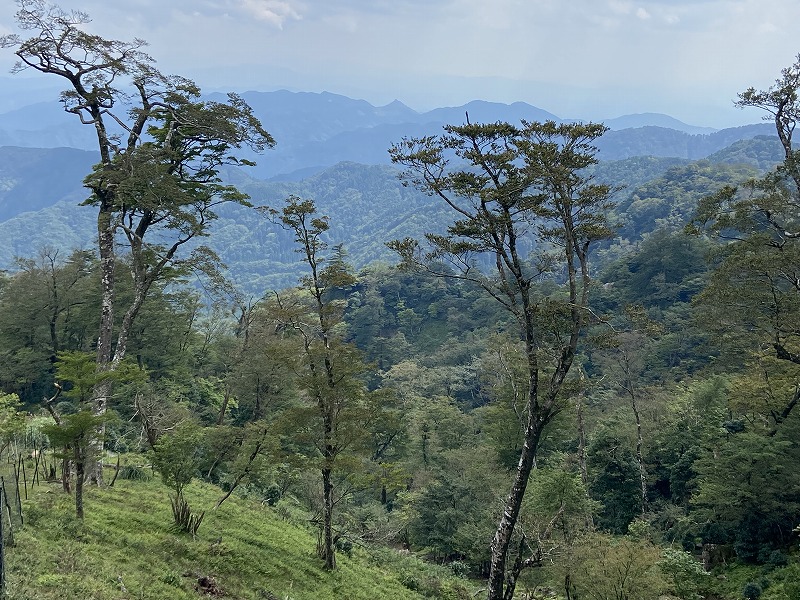 f:id:nayutakun:20210922233205j:plain