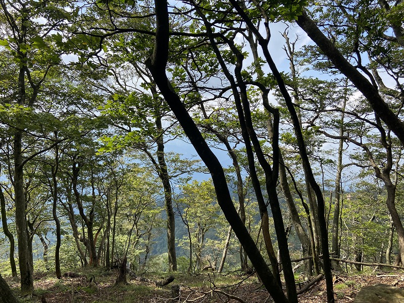 f:id:nayutakun:20210922233452j:plain