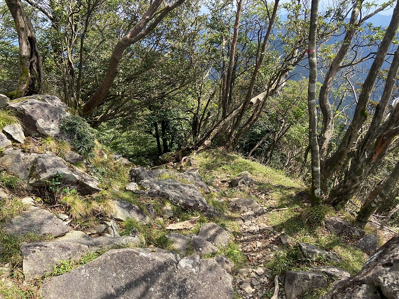 f:id:nayutakun:20210922233540j:plain