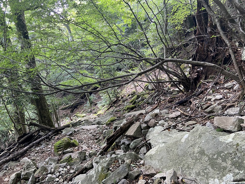 f:id:nayutakun:20210922233625j:plain