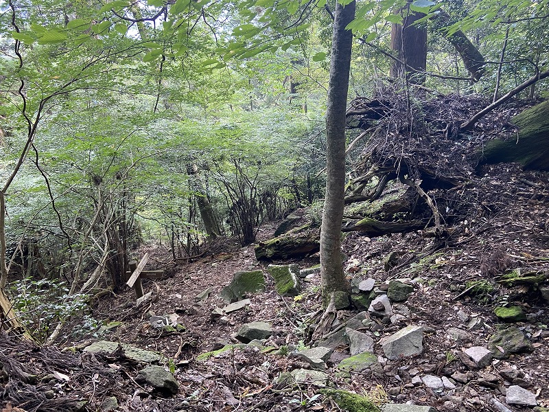 f:id:nayutakun:20210922233645j:plain