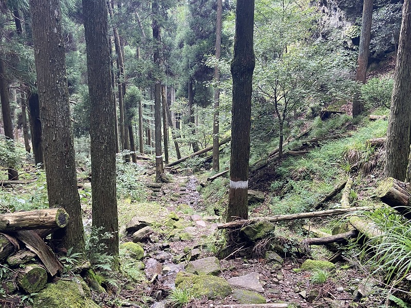 f:id:nayutakun:20210922233909j:plain