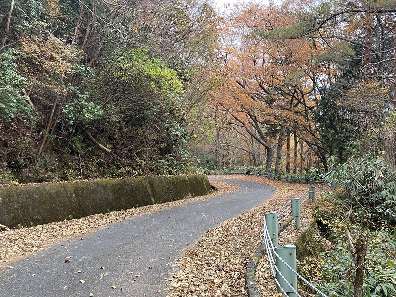 道南の自然を歩く 道南の自然を歩く 道南の自然を歩く 道南の自然を歩く Quick Hakodate