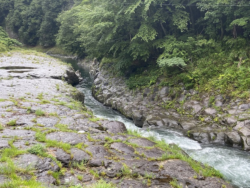 f:id:nayutakun:20220101234624j:plain