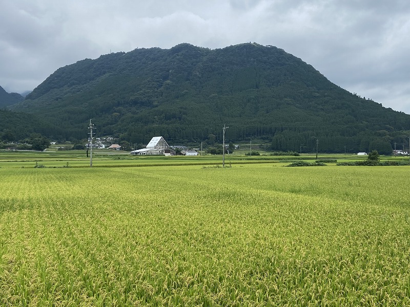 f:id:nayutakun:20220102000510j:plain