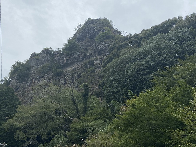 f:id:nayutakun:20220102000658j:plain