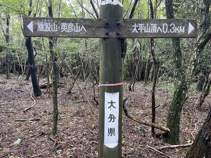 f:id:nayutakun:20220102001230j:plain