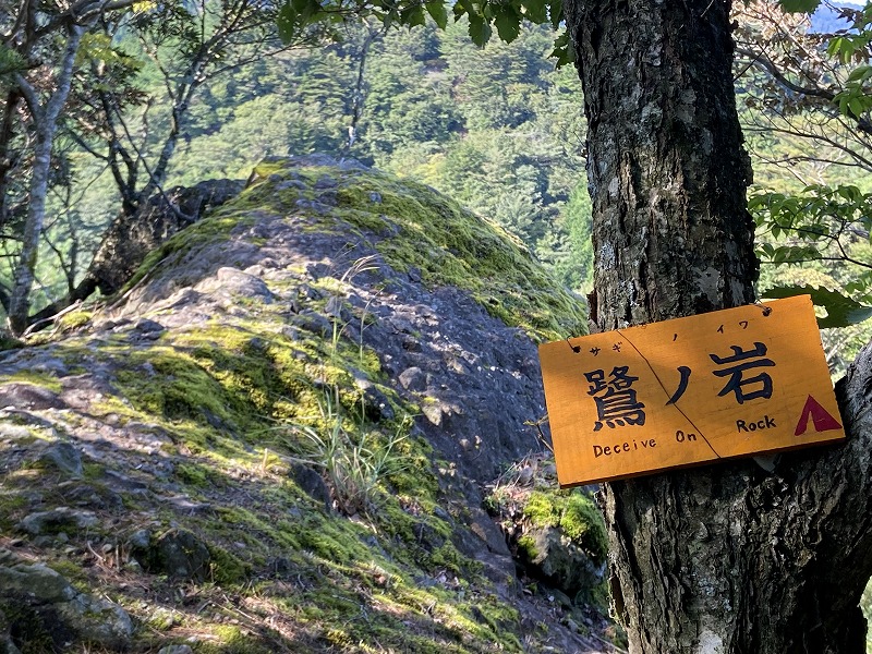 f:id:nayutakun:20220128144903j:plain