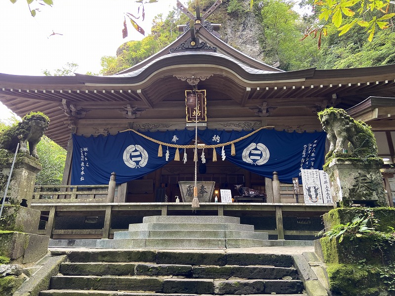 f:id:nayutakun:20220128145040j:plain