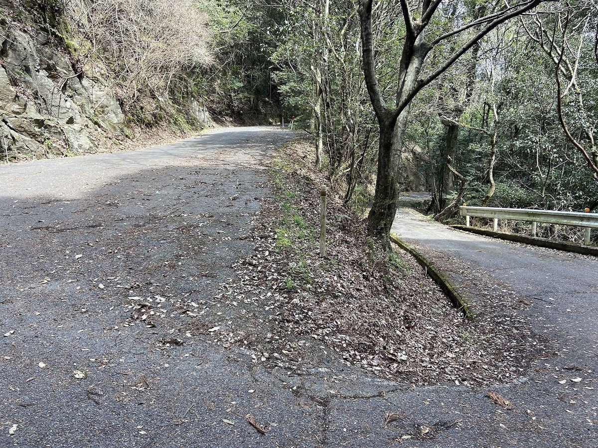 f:id:nayutakun:20220405163424j:plain